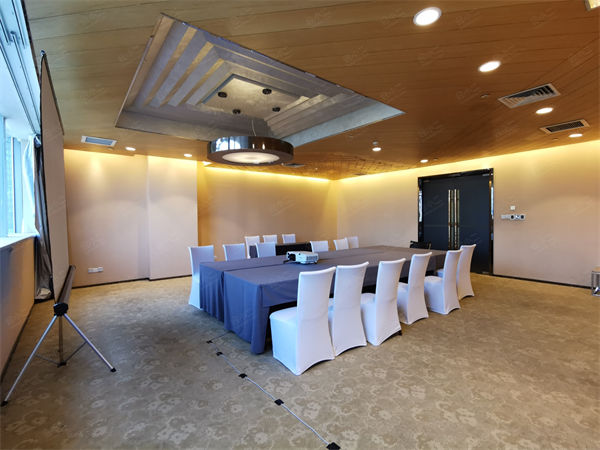 会议室音响设备的价格分析与购买指南，会议室音响设备价格分析与购买指南